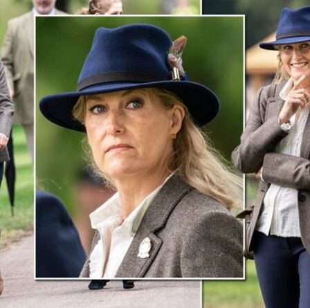 « Sophie est fabuleuse de toutes sortes » : la comtesse de Wessex impressionne avec un chapeau et un pantalon bleu marine