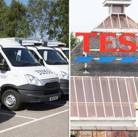 "Soyez patient": Tesco lance un appel aux clients utilisant la livraison à domicile alors que les règles d'achat changent