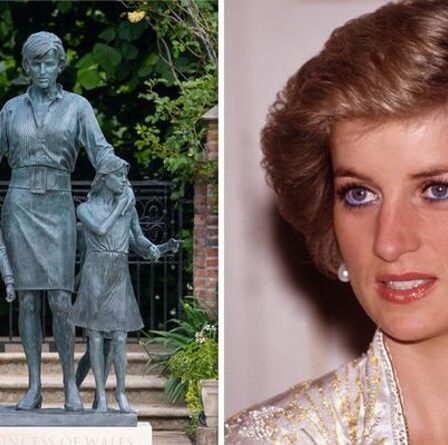 Statue de la princesse Diana avec des enfants « inattendue » – « Elle était essentiellement une solitaire »