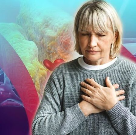 Taux de cholestérol élevé : avertissement trouvé dans la douleur ressentie dans deux zones indiquant que les niveaux sont trop élevés