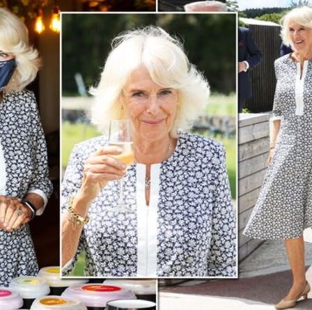 "Tenue parfaite au choix": Camilla, la duchesse de Cornouailles porte une magnifique robe au Pays de Galles
