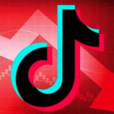 TikTok Down : Colère car l'application vidéo ne fonctionne pas - les utilisateurs perdent des abonnés et ne peuvent pas se connecter