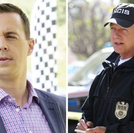 Trou du complot du NCIS : Timothy McGee « savait » que Gibbs avait tué un suspect clé dans une nouvelle théorie