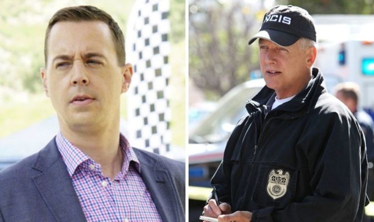 Trou du complot du NCIS : Timothy McGee « savait » que Gibbs avait tué un suspect clé dans une nouvelle théorie