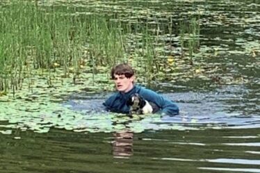 Un adolescent héroïque sauve un chien en train de se noyer dans un lac - "C'était incroyable!"