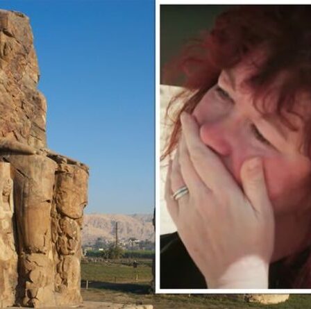 Un archéologue égyptien sans voix devant un trésor : "Jamais rien vu de tel"
