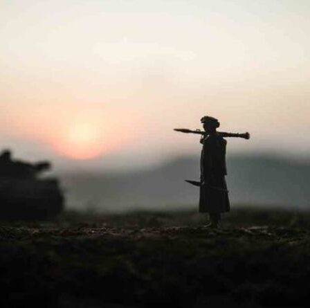 Un attentat terroriste craint les attaques d'avions de ligne au-dessus de l'Afghanistan alors que les États-Unis interdisent les vols