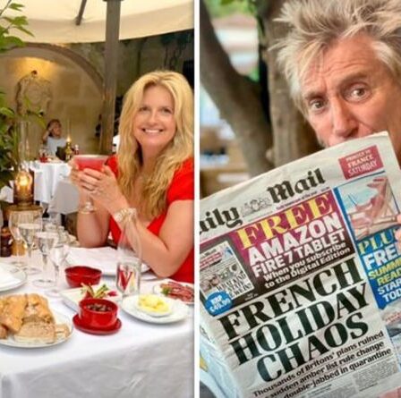 "Un autre beau gâchis" Rod Stewart dénonce le "chaos des vacances" en France au milieu des restrictions