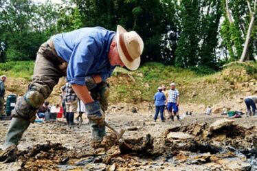 Un couple utilise Google Earth pour découvrir l'abondance de fossiles dans le "Jurassic Pompéi" du Royaume-Uni