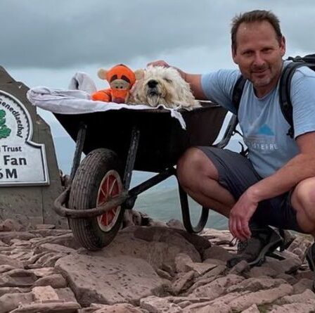 Un homme pousse son chien mourant bien-aimé dans une brouette pour une "dernière aventure"