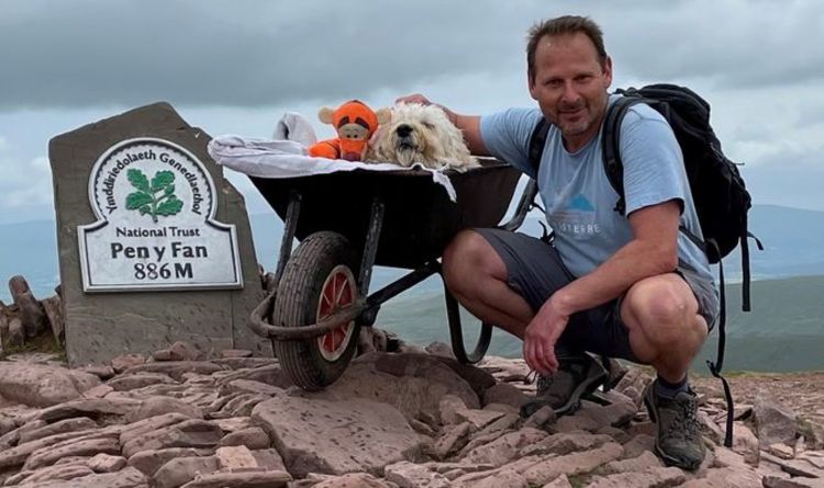 Un homme pousse son chien mourant bien-aimé dans une brouette pour une "dernière aventure"