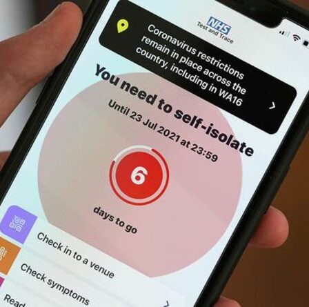 Un immunologiste de haut niveau prouve que vous n'avez besoin de vous isoler que pendant QUATRE jours - loin de la pingdémie