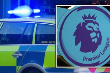 Un joueur de Premier League arrêté pour suspicion d'infractions sexuelles sur mineurs et suspendu par le club