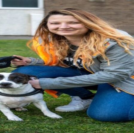 Un petit chien aimant sauve son propriétaire dans une horreur d'une attaque au couteau dans l'Essex