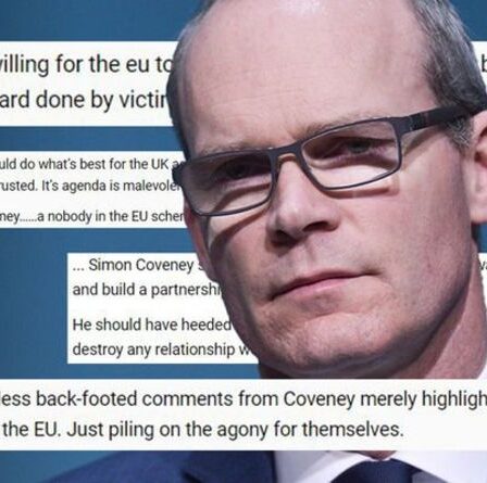 « Un peu tard pour jouer la victime ! »  Les Brexiteers font honte à l'Irlande après que le Royaume-Uni a été accusé d'une menace "étrange"