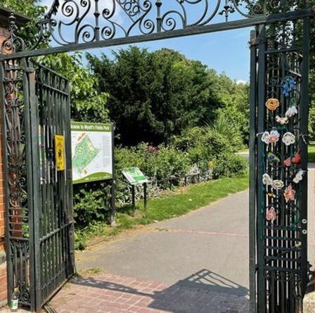 Un scooter électrique frappe si fort une fille de 3 ans dans un parc local qu'elle a des blessures qui «changent sa vie»