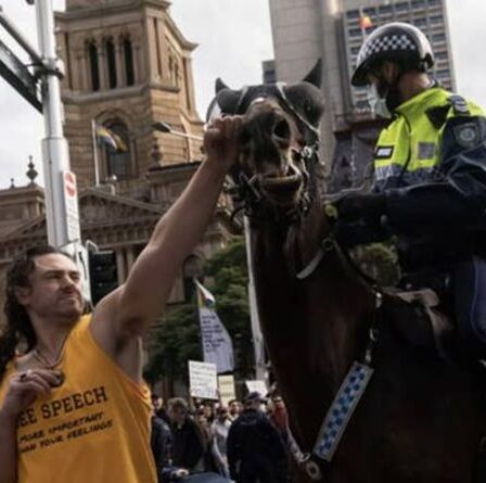 Un vil manifestant anti-verrouillage frappe un cheval au visage alors qu'une manifestation éclate en Australie