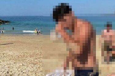 Un voyou a battu une mouette à mort avec une pelle sur une plage bondée