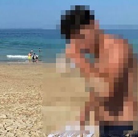 Un voyou a battu une mouette à mort avec une pelle sur une plage bondée