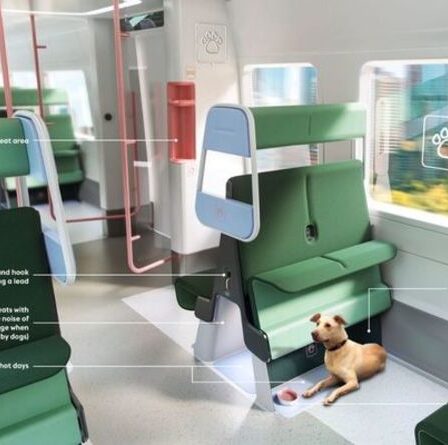 Une conception de wagon de train adaptée aux chiens dévoilée pour aider 840 000 cabots à se rendre au travail quotidien