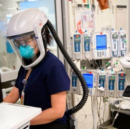 Une épidémie de variole du singe provoque la panique : une personne hospitalisée après un voyage aux États-Unis - déclaration urgente