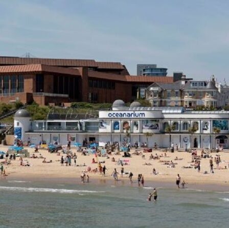Une fille de 15 ans "violée par un adolescent dans la mer au large de la plage animée de Bournemouth", selon la police