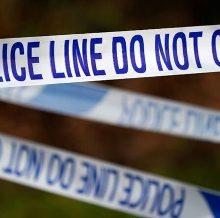 Une fille de 9 ans combat trois hommes masqués qui ont tenté de l'attraper sur un terrain de jeu