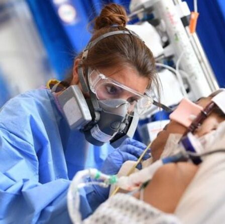 Une «infection fongique mortelle» incurable se déchaîne dans les maisons de soins et les hôpitaux