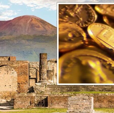 Une percée archéologique en tant que «vaste trésor» de Pompéi liée à l'élite romaine