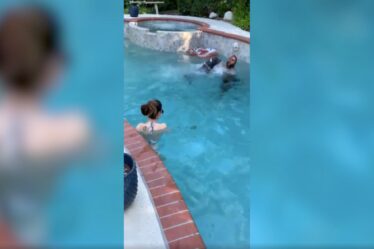 Une vidéo virale montre un chien américain plongeant pour sauver le propriétaire de la «noyade» de la piscine