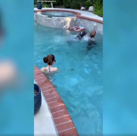Une vidéo virale montre un chien américain plongeant pour sauver le propriétaire de la «noyade» de la piscine