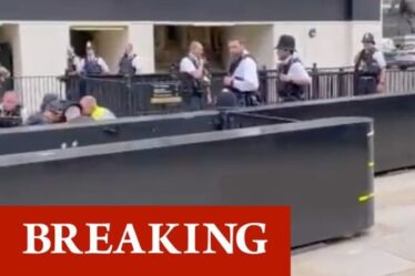 Urgence de Westminster: un homme coincé par la police après avoir frappé un officier près du Parlement