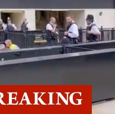 Urgence de Westminster: un homme coincé par la police après avoir frappé un officier près du Parlement