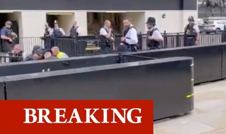Urgence de Westminster: un homme coincé par la police après avoir frappé un officier près du Parlement