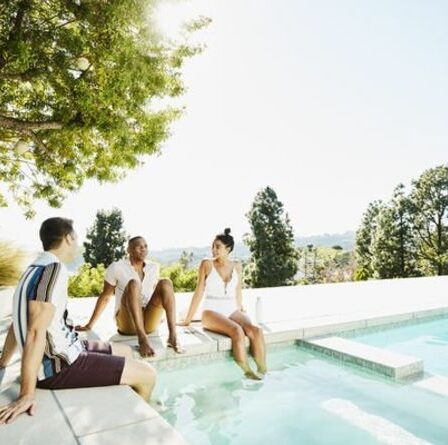 Vacances au Royaume-Uni : les Britanniques préfèrent avoir un bain à remous que d'emmener leur chien avec eux