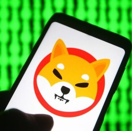 Valeur Shiba Inu : Que vaudra Shiba Inu en 2022 ?