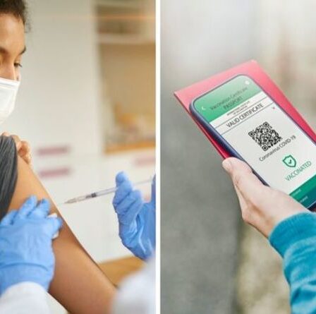 Vérification du numéro de lot Astrazeneca : comment vérifier où votre jab AZ a été fabriqué