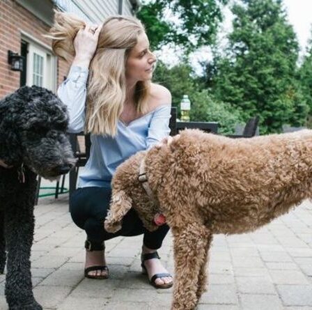 Vous avez oublié quelque chose ?  Top cinq des choses que les propriétaires d'animaux de compagnie britanniques oublient le plus depuis le verrouillage