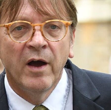 Vous vous sentez ébranlé, Guy ?  La diatribe « pathétique » de Verhofstadt sur l'alliance eurosceptique de l'UE se retourne contre lui