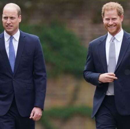 William a un « grand regret » pour une conversation avec Harry qui a rompu un « lien incassable »