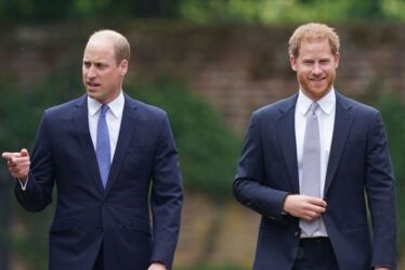 William « n'a pas répondu » quand Harry « a tourné les pieds » pour lui faire face lors du dévoilement de la statue de Diana