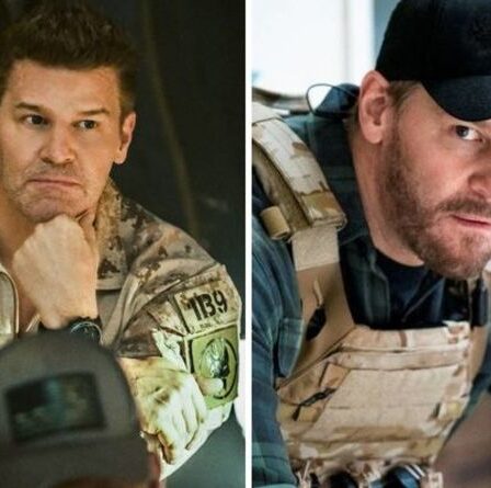 Y aura-t-il un autre spin-off de SEAL Team ?