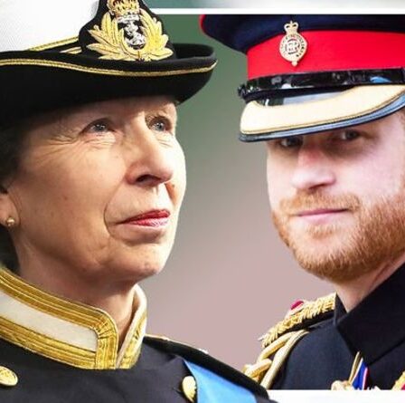 La princesse Anne « très désireuse » de prendre le titre retiré au prince Harry – « Un bon ajustement »