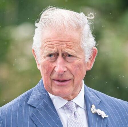 Le prince Charles dans une "position inconfortable et frustrante" alors qu'il est "prêt à être roi"