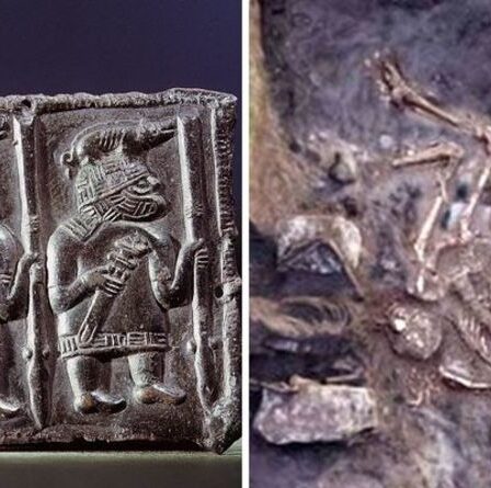 Des archéologues stupéfaits par l'enterrement du massacre d'avant les Vikings : "Rien n'aurait pu nous préparer"