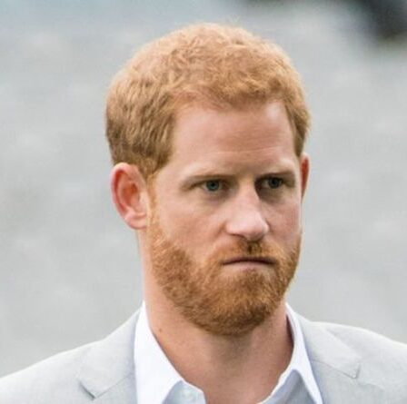Avertissement du prince Harry : « Les Américains ne remarqueront pas » le travail professionnel « élitiste » de Duke