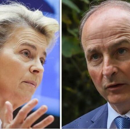 L'Irlande se tourne vers l'UE car le modèle économique du bloc "ne fonctionne pas dans le vide"