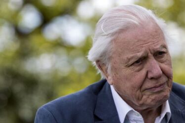 Révolution verte: Sir David Attenborough met en garde contre le risque de déchets pour la faune dans les parcs royaux