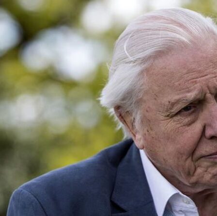 Révolution verte: Sir David Attenborough met en garde contre le risque de déchets pour la faune dans les parcs royaux