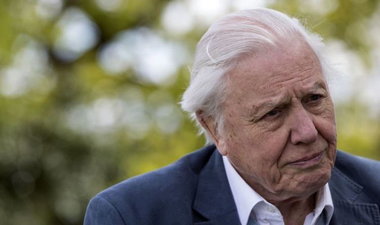 Révolution verte: Sir David Attenborough met en garde contre le risque de déchets pour la faune dans les parcs royaux